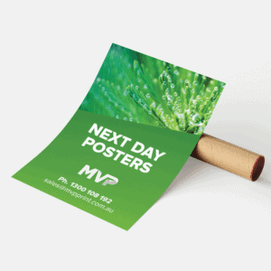 Next Day Despatch Posters