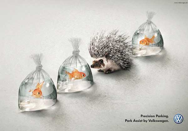 Print Ads Fish