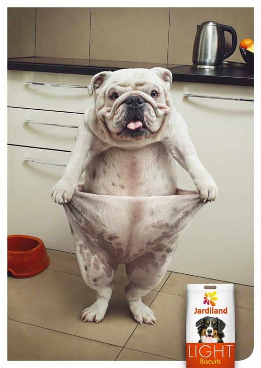 Doggy Print Ad