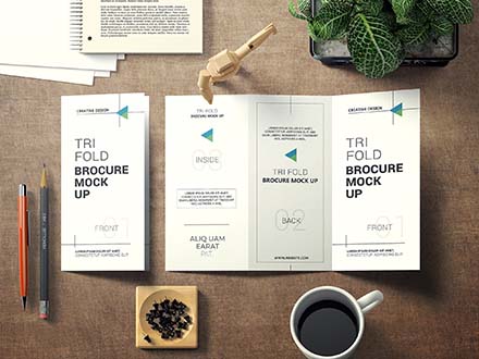 Tri Fold Brochure Mockup